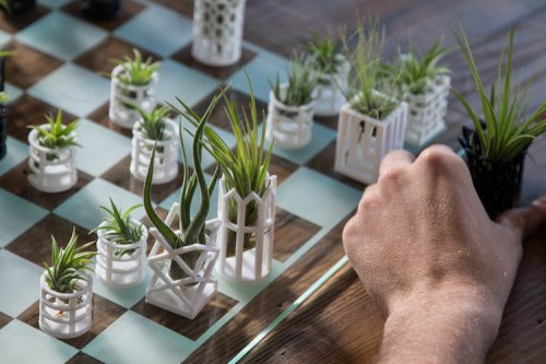 Идеальный шахматный набор для садовода-любителя (9 фото)