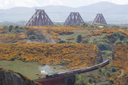 Фотоколлекция впечатляющих мостов (13 фото)