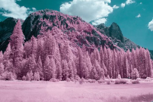Инфракрасные снимки парка Йосемити, похожего на другую планету (13 фото)