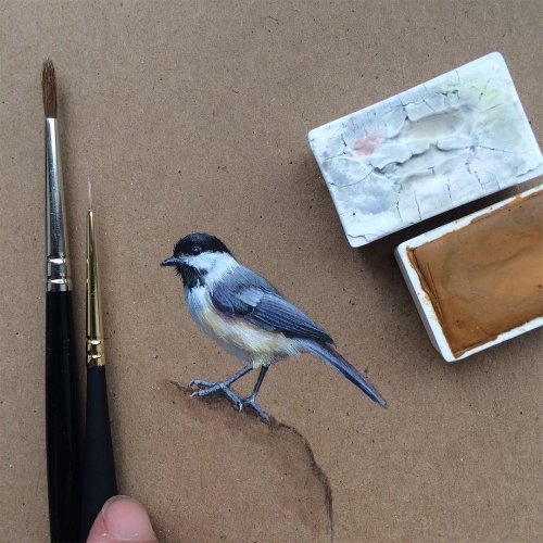 Художественный проект "Птица за птицей" Дины Бродски (10 фото)