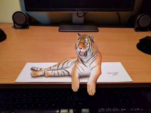 Невероятно реалистичные 3D-рисунки Николы Чулича (24 фото)