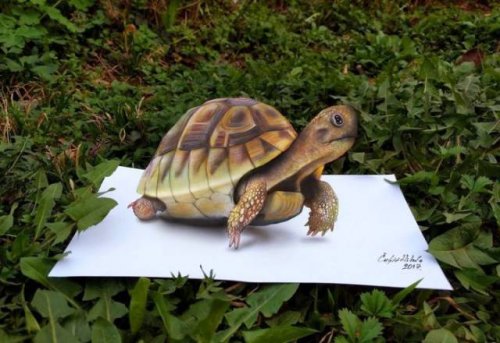 Невероятно реалистичные 3D-рисунки Николы Чулича (24 фото)