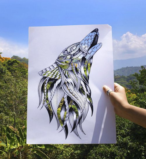 Невероятно детализированные портреты животных, которые создаёт Фей Халлидей (26 фото)