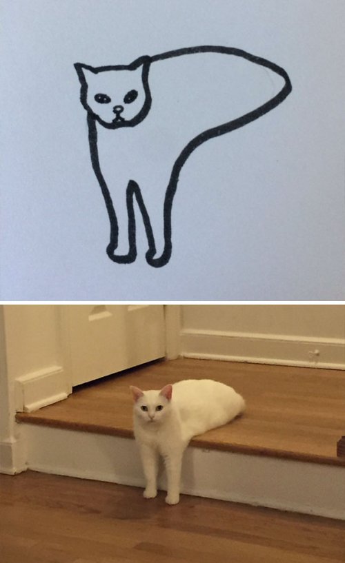 Плохо нарисованные кошки, которые очень похожи на настоящих (25 фото)