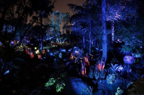 Во Флориде открылся тематический парк "Пандора — мир Аватара" (19 фото + видео)