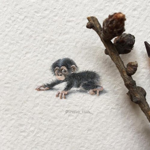 Невероятно реалистичные крошечные рисунки животных от Ирины Малаховой (21 фото)