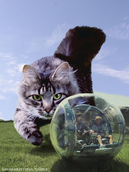 Гигантские кошки вместо динозавров в "Парке Юрского периода" (21 фото)