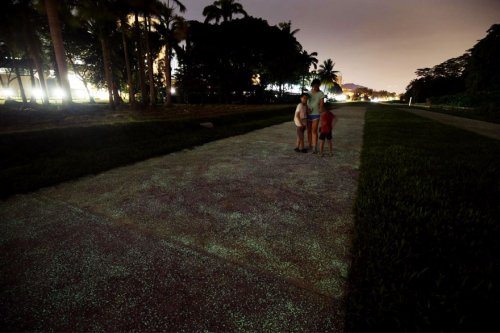 В Сингапуре тестируют светящуюся в темноте дорожку (7 фото)