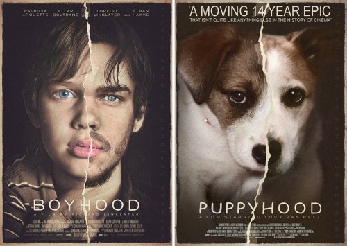 Собака Люси на постерах к известным фильмам (19 фото)