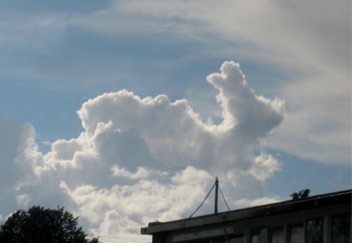 Облачная парейдолия (19 фото)