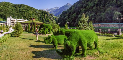 Потрясающие топиарные фигуры в парке "Зелёная планета" в Сочи (15 фото)