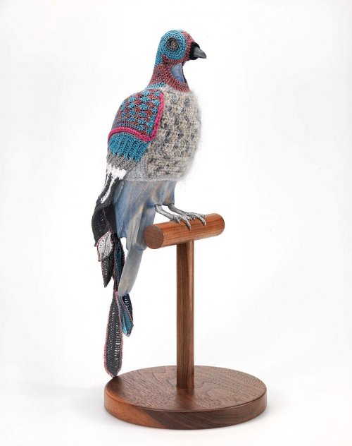 Красочные вязаные костюмы для птиц от Лорел Рот Хоуп (8 фото)