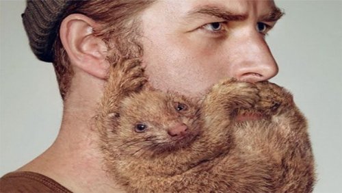 Смешные и причудливые бороды, которые вы ещё не видели (24 фото)