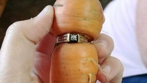 Женщина обнаружила на моркови свое обручальное кольцо, потерянное 13 лет назад (3 фото + видео)