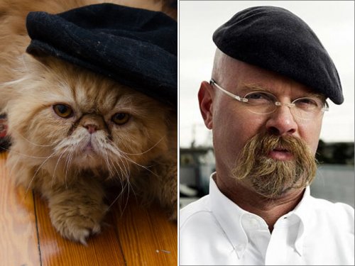 Кошки, похожие на известных персонажей и знаменитостей (17 фото)