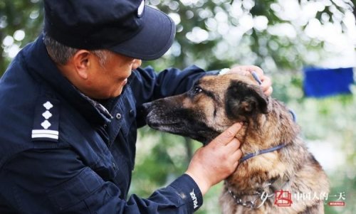 Китайский полицейский построил дом престарелых для старых полицейских собак (5 фото + видео)