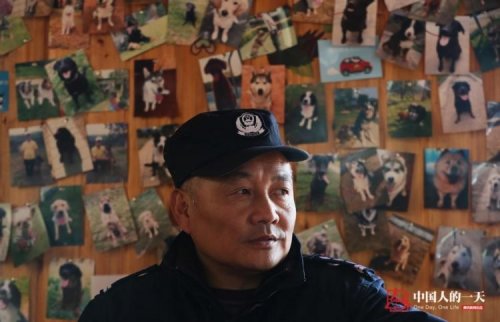 Китайский полицейский построил дом престарелых для старых полицейских собак (5 фото + видео)