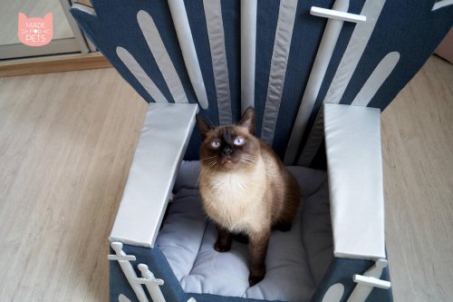 Кровать "Железный трон", перед которой не устоит ни одна кошка (6 фото)