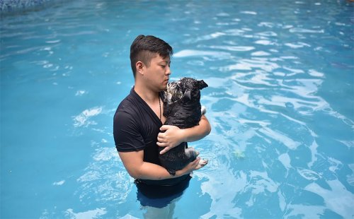 Житель Китая построил бассейн для собак в честь своей погибшей от теплового удара собаки (8 фото)