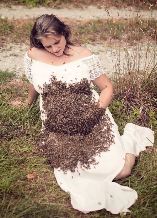 Необычная фотосессия с пчёлами, шокировавшая Интернет (5 фото)