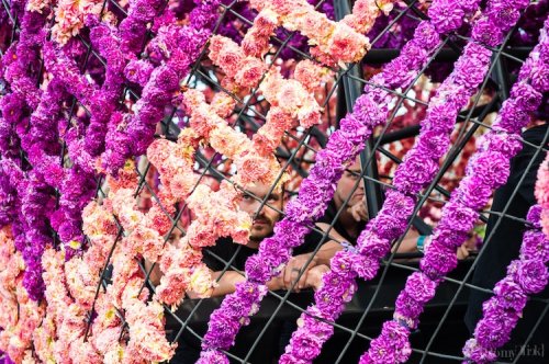 Цветочный парад Corso Zundert-2017 (25 фото)