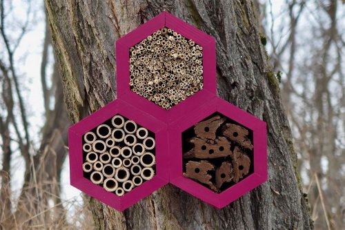Дизайнер разработал симпатичные садовые домики для пчёл, бабочек и других насекомых (12 фото)