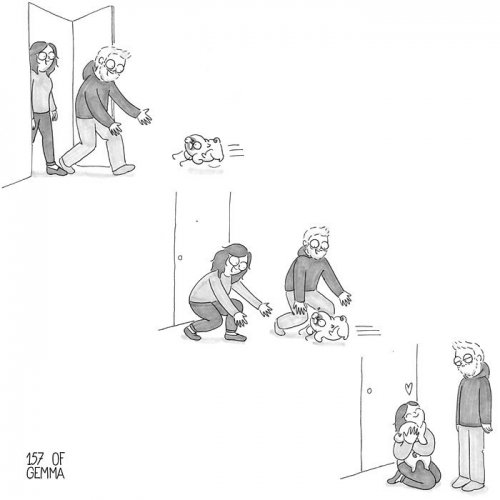 Очаровательные комиксы про то, каково жить с собакой (24 шт)