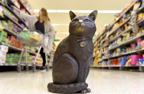 Покупатели собрали деньги на бронзовую статую в память о всеобщем любимце, магазинном коте Бруте (10 фото)