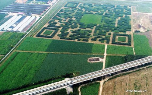 QR-код из 130 тысяч тщательно подстриженных кустарников и деревьев, который можно просканировать с воздуха (3 фото)