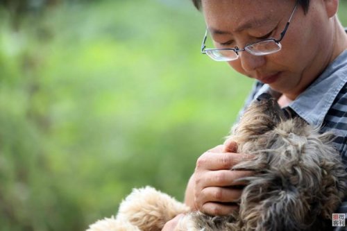 Китайский «Защитник собак» за последние 8 лет спас более 700 бродячих псов (4 фото)