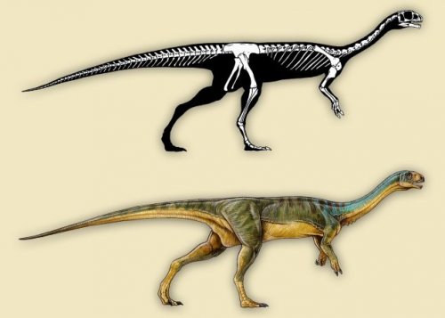 Топ-10: невероятные доисторические существа, открытые совсем недавно