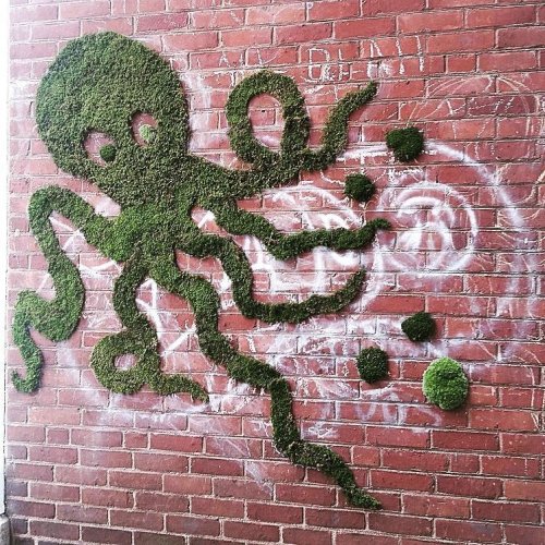 Мосс-граффити: "зелёный" стрит-арт (27 фото)