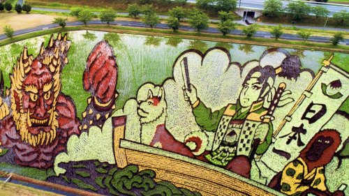 Красочные рисунки на рисовых полях японской деревни Инакадате (4 фото + видео)