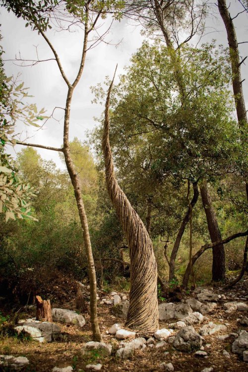 Лесной лэнд-арт Спенсера Байлса (13 фото)