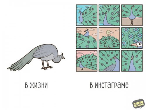Саркастические комиксы и иллюстрации Антона Гудима (21 фото)