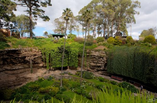 В Австралии в огромной карстовой воронке появился целый сад (4 фото)