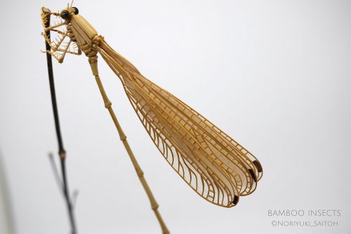 Невероятно реалистичные скульптуры насекомых из бамбука от Нориюки Саито (13 фото)