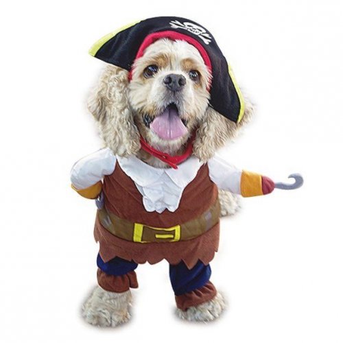 Забавные костюмы для собак на Хэллоуин (29 фото)