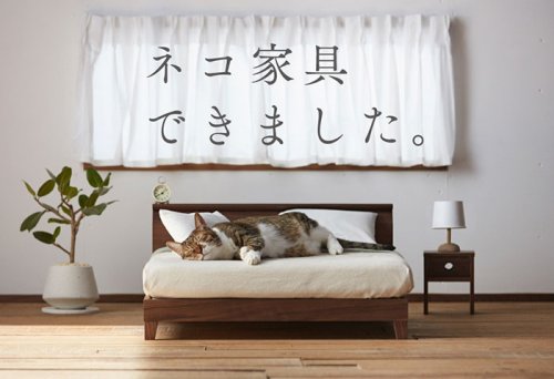 Миниатюрная кошачья мебель от Okawa Kagu (6 фото)