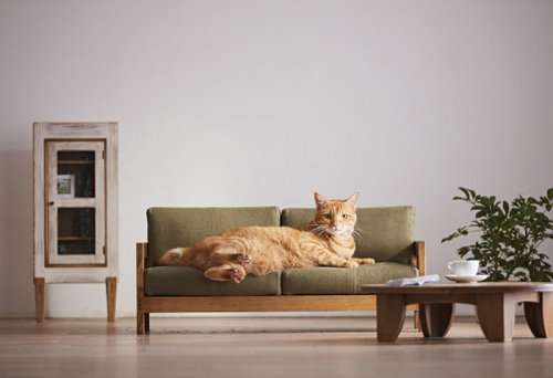 Миниатюрная кошачья мебель от Okawa Kagu (6 фото)