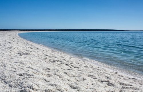 Белоснежный пляж в Австралии, покрытый миллиардами ракушек (5 фото + видео)