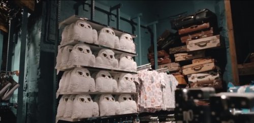В Лондоне открылся магазин Гарри Поттера (9 фото + видео)