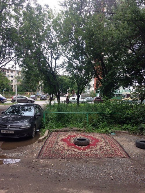 Приключения ковров в России (28 фото)