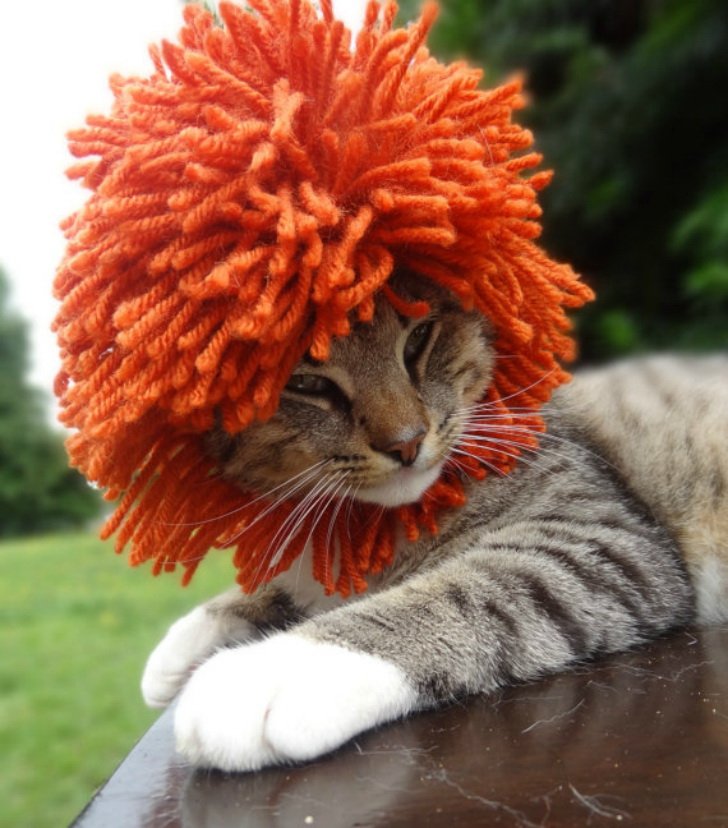 Котиковая шапка