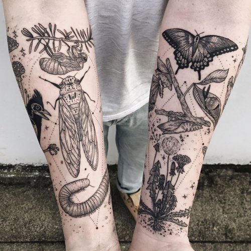 Флора, фауна и космос в татуировках от Пони Рейнхардт (12 фото)