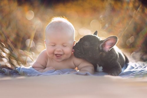 Родившиеся в один день малыш и щенок стали лучшими друзьями (7 фото)