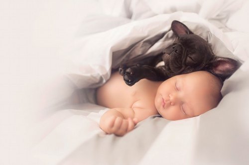 Родившиеся в один день малыш и щенок стали лучшими друзьями (7 фото)
