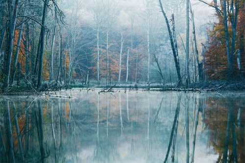 Осень на озере в фотосерии Килиана Шёнбергера (10 фото)