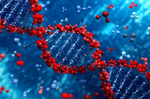 Топ-10: невероятные открытия и технологии, связанные с молекулой ДНК и генами