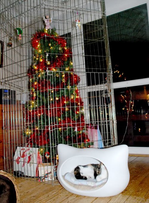 Как защитить новогоднюю ёлку от домашних животных (33 фото)